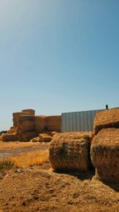 Stacked hay bales on a sunny farm with a clear blue sky, capturing rural life.