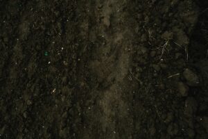 Close-up image of rich brown soil, ideal for agriculture and farming projects.
